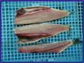 fish_filleting_machine_mtype04